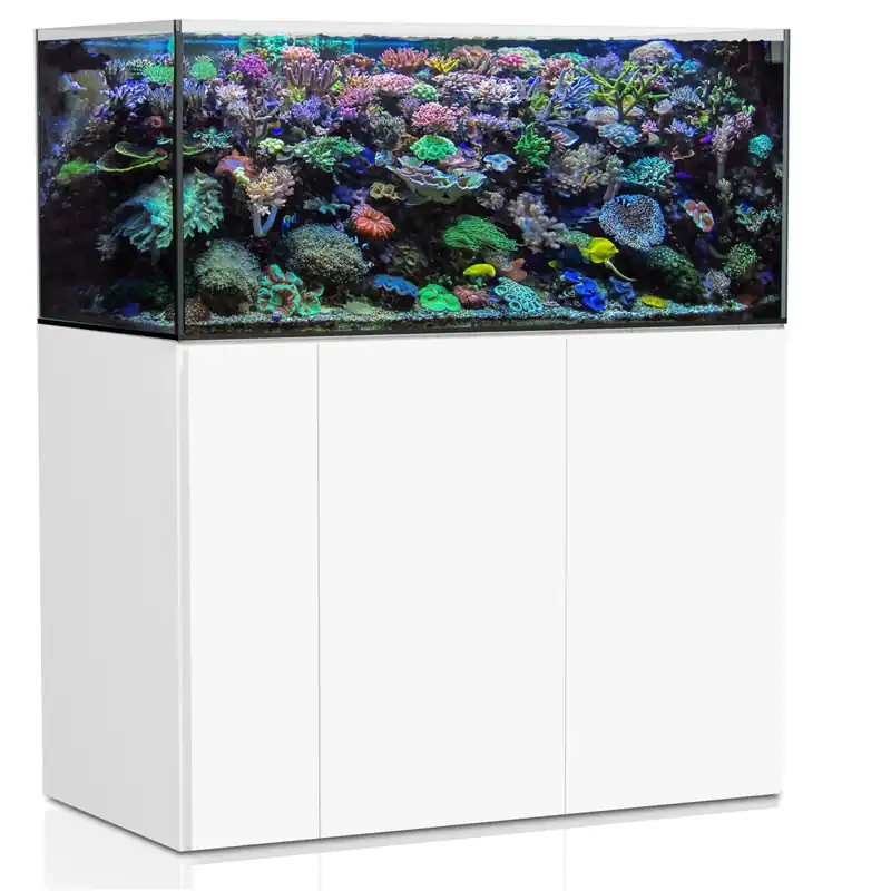 Jetzt Bestellen AQUA MEDIC Armatus 500 XD Meerwasser-Aquarium mit Unterschrankfiltersystem weiß